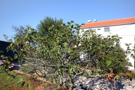 Apartmány 3298-228 - 39