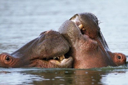 Velký okruh JAR - 4