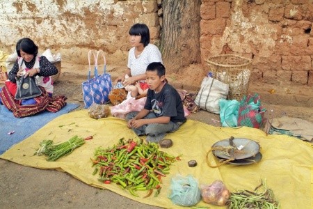 Od čajových plantáží Darjeelingu k himálajským klášterům Bhútánu - 6