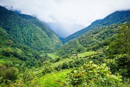 Od čajových plantáží Darjeelingu k himálajským klášterům Bhútánu - 7