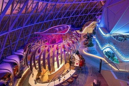 Star Of The Seas - 6