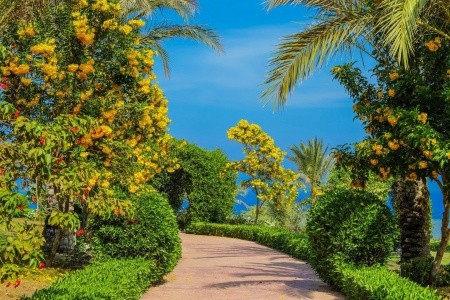 Fantazia Resort - 12