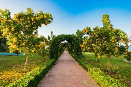 Fantazia Resort - 25