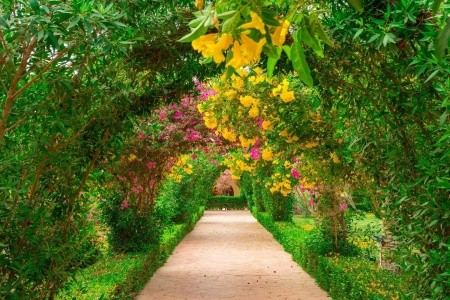 Fantazia Resort - 29