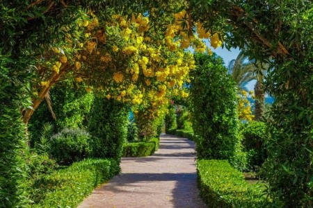 Fantazia Resort - 36