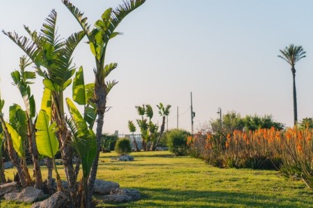 Mangia's Favignana Resort - 41