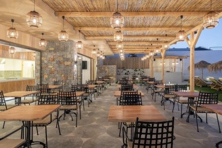 Golden Bee Lifestyle - 3