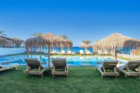 Golden Bee Lifestyle - 14