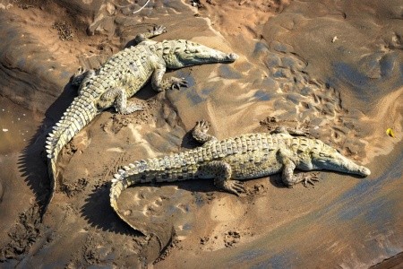 Kostarika - zelené srdce Střední Ameriky, vstupy do NP v ceně - 8