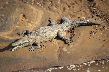 Kostarika - zelené srdce Střední Ameriky, vstupy do NP v ceně - 38