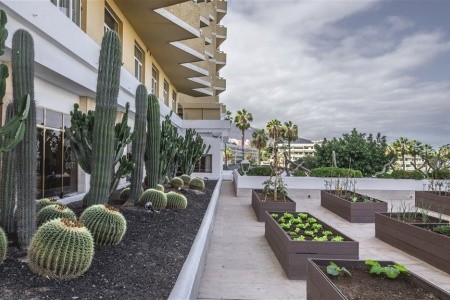 Be Live Adults Only Tenerife - 17