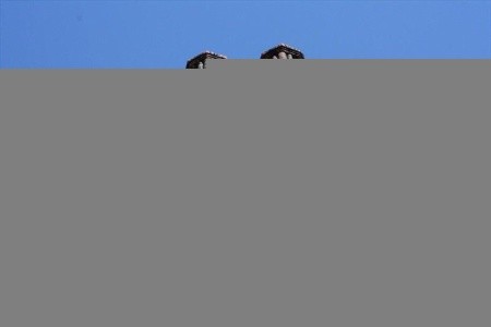 Královská Kodaň - 15