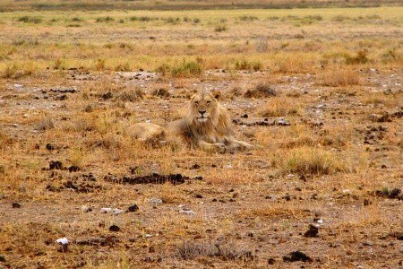 Podivuhodná Namibie - 3