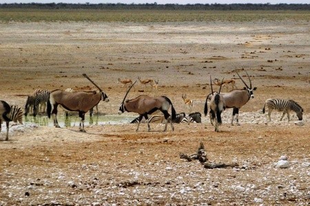 Podivuhodná Namibie - 5