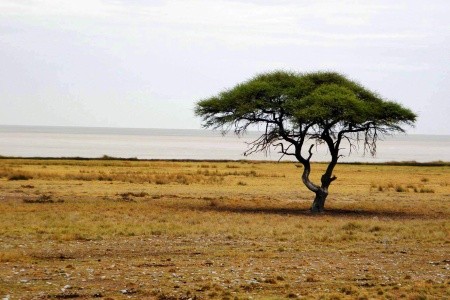 Podivuhodná Namibie - 9