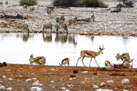Podivuhodná Namibie - 14