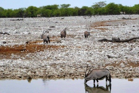 Podivuhodná Namibie - 15