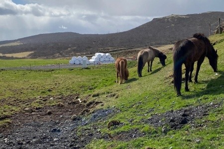 Příroda a Kultura Islandu - 9
