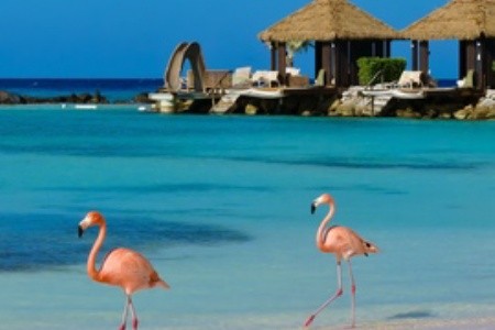 Zažijte Arubu: ostrov věčného léta, plameňáků a karibské pohody