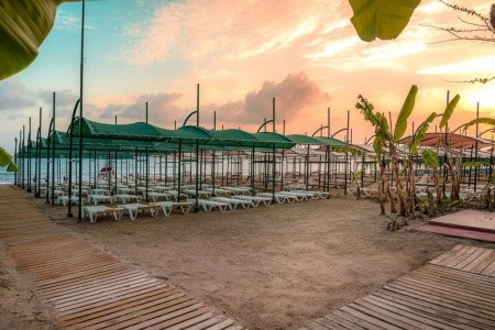 Turecko Turecká riviéra Primasol Telatiye Resort 9 dňový pobyt All Inclusive Letecky Letisko: Katovice June 2026 (19/06/26-27/06/26)