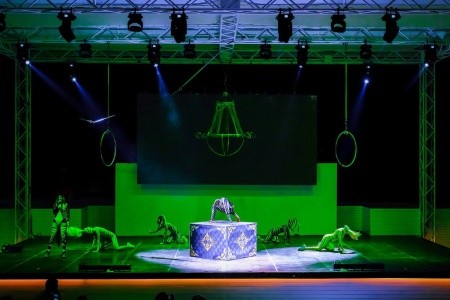 Rubi Platinum Sign - 9