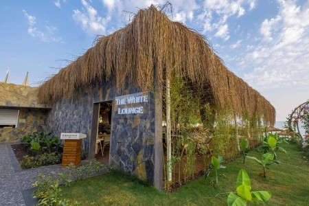 Rubi Platinum Sign - 26