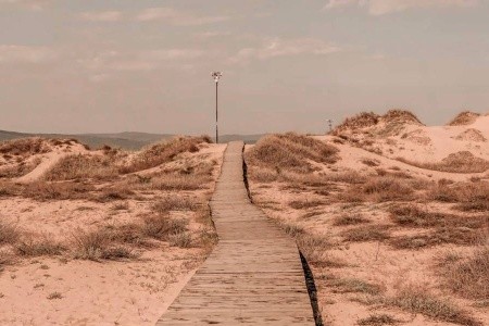 Sunny Beach Club (Ex. Cook's Club Sunny Beach) - 15