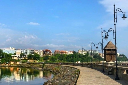 Flamingo Beach (Ex. Avliga Beach) - 18