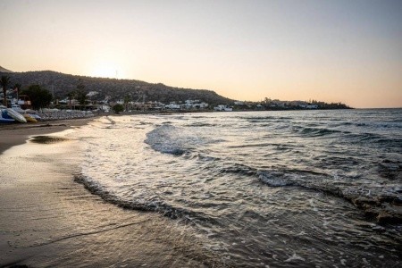 Alexandra Apartments - 9