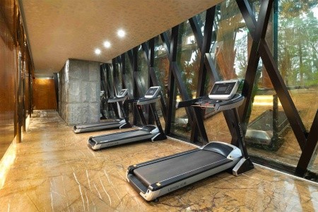 Sanya Gionee International - 13