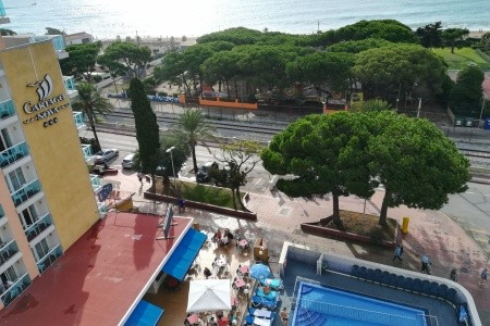 Alegria Cartago Nova - 5