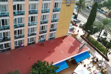 Alegria Cartago Nova - 6