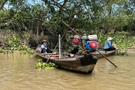 Vietnam - 7