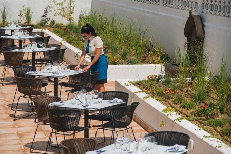 Sunrise Blue Magic - 12