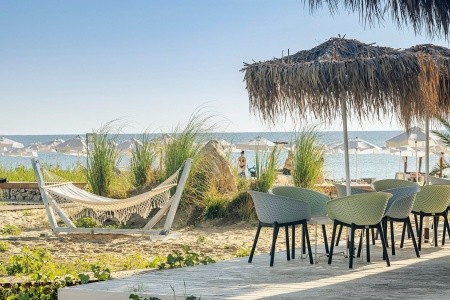 Sunrise Blue Magic - 20