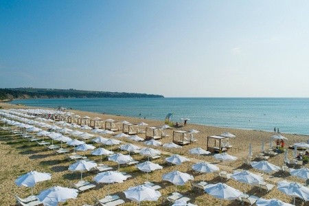 Sunrise Blue Magic - 42