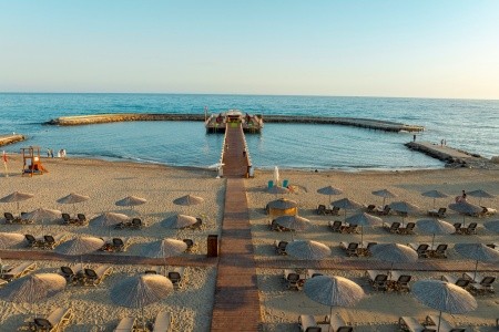 Serenity Queen - 100