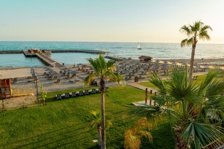 Serenity Queen - 101