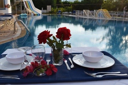 Ares Blue (Ex.larissa Blue) - 12