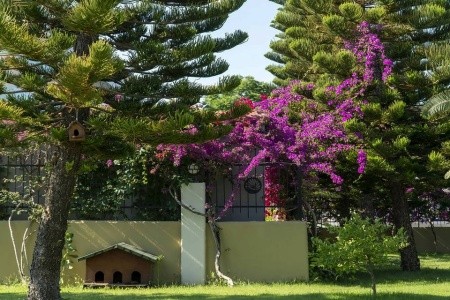 Turecko Side Adalya Artside 9 dňový pobyt Ultra All inclusive Letecky Letisko: Praha September 2026 ( 1/09/26- 9/09/26)