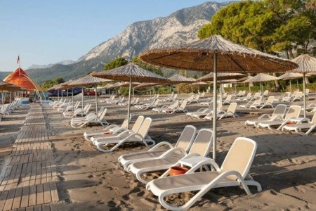 Juju Premier Palace - 13