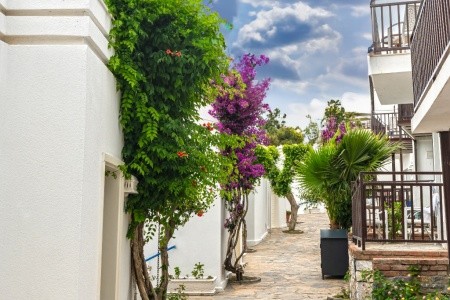 Blue Dreams Resort & Spa - 29