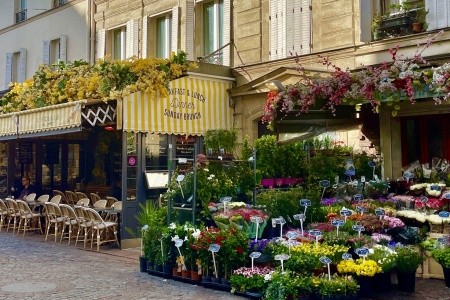 Paříž a Versailles od A do Z - 16