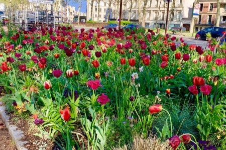 Paříž a Versailles od A do Z - 36