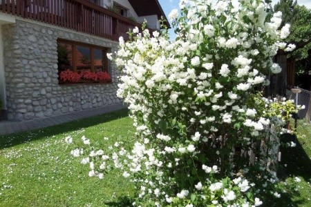 Vila Jasmín (Mengusovce) - 16