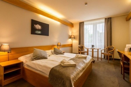 Aqua Hotel Termál - 9