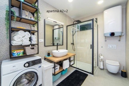 Vila Ruža (Brist) - 5