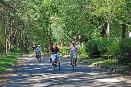 Camping Sabbiadoro - 25