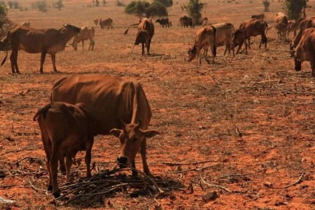 VIETNAM vč. SAPY a závěrečným pobytem u moře 2026 - 10