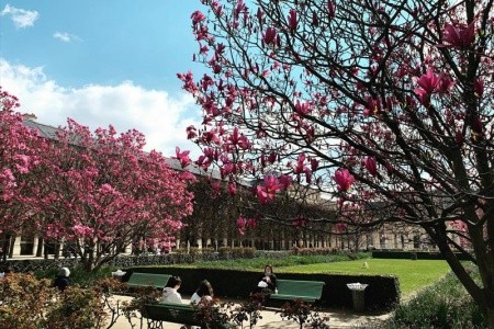 Rozkvetlá Paříž a královské Versailles - 6